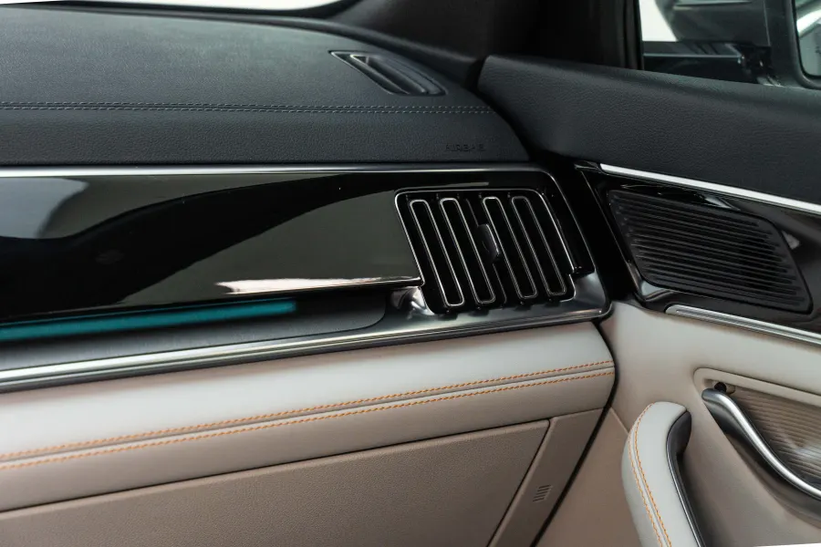 SONG LUXURY - Interior image 5