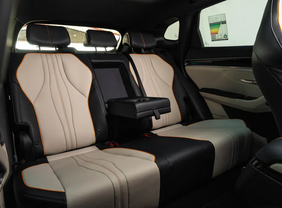 SONG LUXURY - Interior image 10